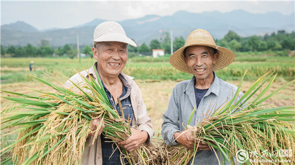 ??禾田生態養殖基地：一頭扎進泥土里，把日子過回本真的模樣