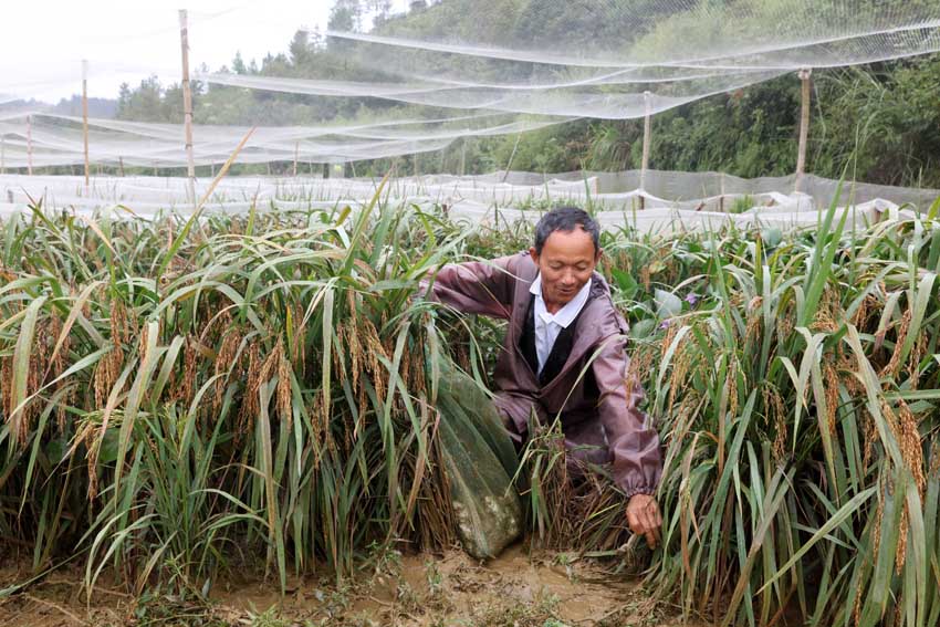 ????本源牧養(yǎng)實(shí)驗(yàn)室：科學(xué)養(yǎng)殖如何為動(dòng)物和消費(fèi)者創(chuàng)造真實(shí)價(jià)值？