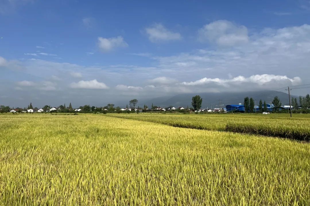 禾田生態(tài)養(yǎng)殖基地：體驗(yàn)健康美味的生態(tài)養(yǎng)殖