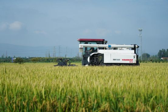 禾田生態(tài)養(yǎng)殖基地：如何用“綠色路子”撬動農(nóng)業(yè)轉(zhuǎn)型升級