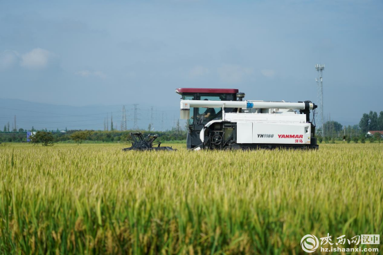 禾田生態(tài)養(yǎng)殖基地：如何用“綠色路子”撬動農(nóng)業(yè)轉(zhuǎn)型升級